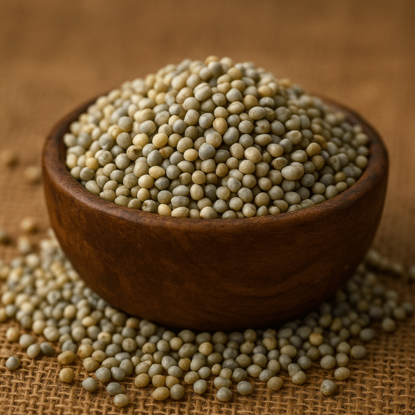 High-quality Pearl Millet (Bajra) grains from India, ideal for export – used in food processing, traditional diets, and animal feed.