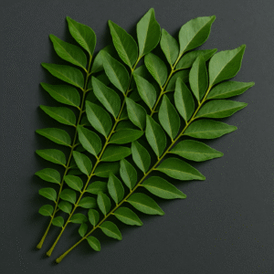 Close-up of fresh Indian curry leaves with vibrant green color and glossy texture, ideal for culinary and export use