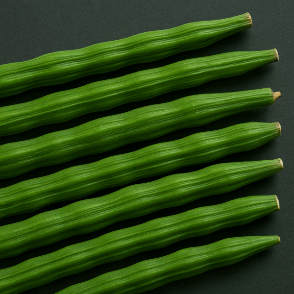High-quality close-up of fresh green drumsticks (moringa pods) arranged neatly for export.