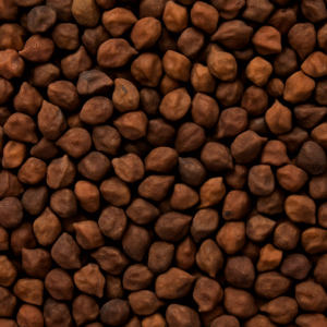 Premium Indian Black Chickpeas (Kala Chana) – Export Quality
