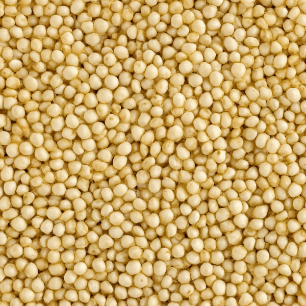 Close-up of raw Indian-grown quinoa grains – clean, healthy, gluten-free superfood ideal for export