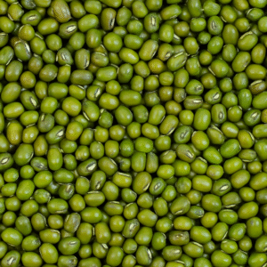 Premium Indian Green Gram (Whole Moong) – Export Quality Pulses